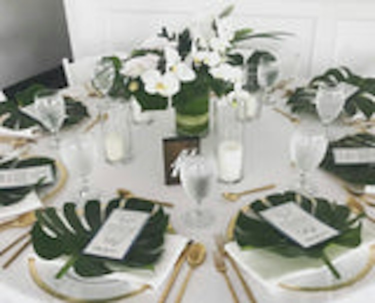 Starter Fork Rush Brushed Gold