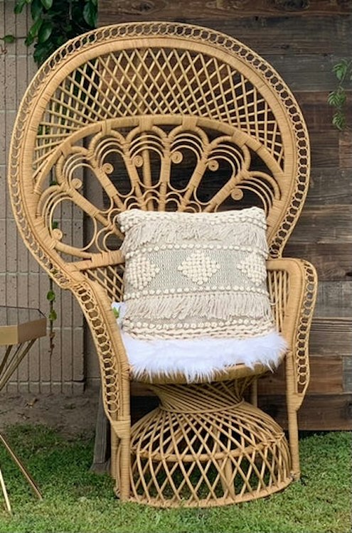 Peacock Chair
