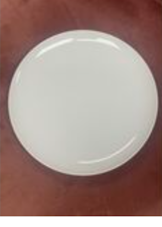 10.5" Glossy White Dinner Plate