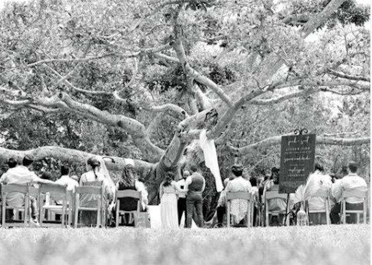 Photography Session of The Ceremony Plus