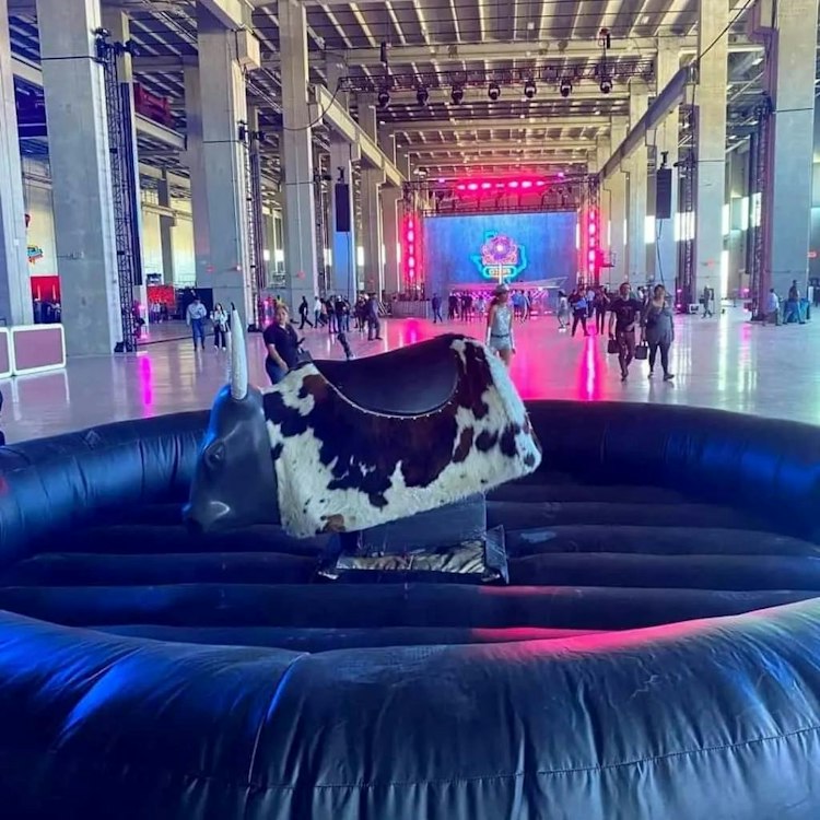 Mechanical Bull