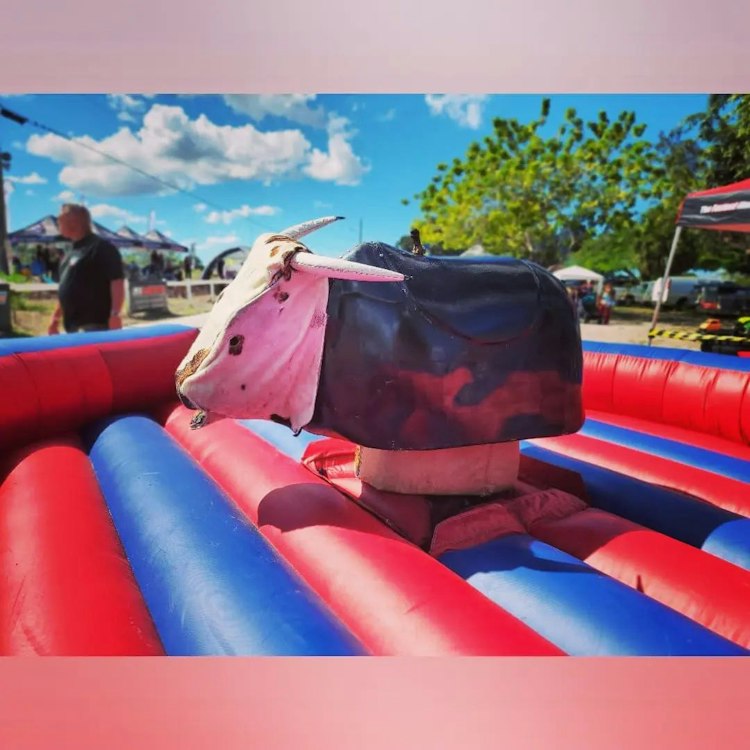 Mechanical Bull