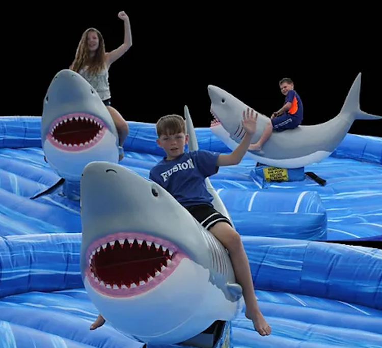 Mechanical Shark