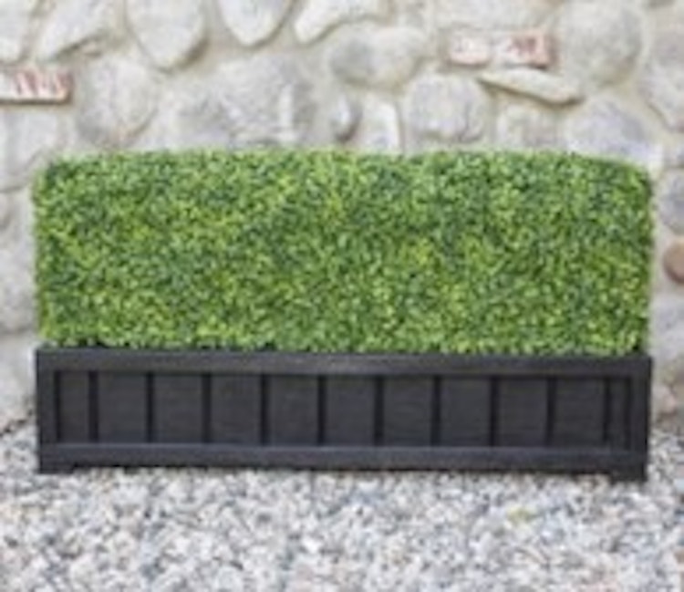 6” Double-Sided Boxwood Hedge