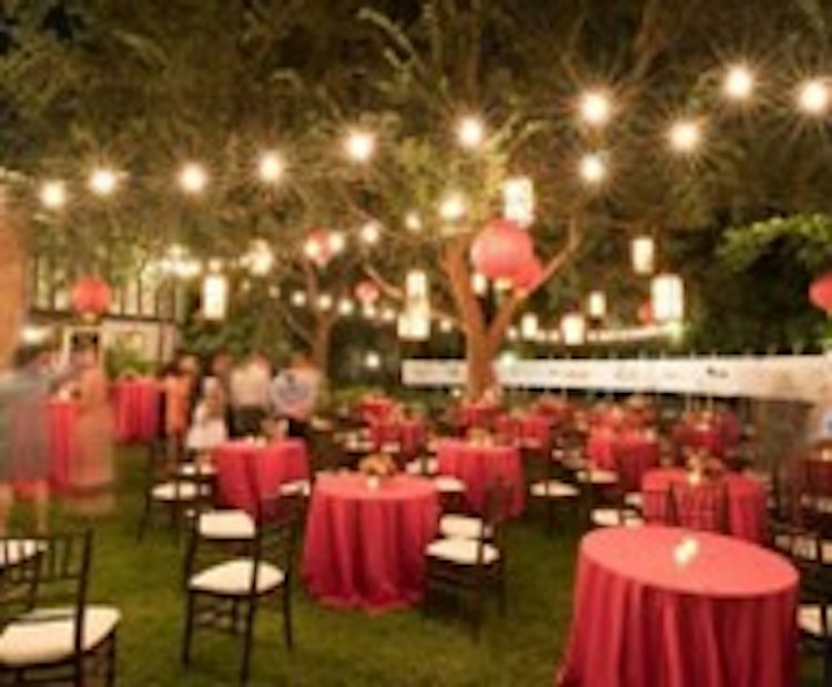 100' - 50 Bulbs - Carnival String Lighting