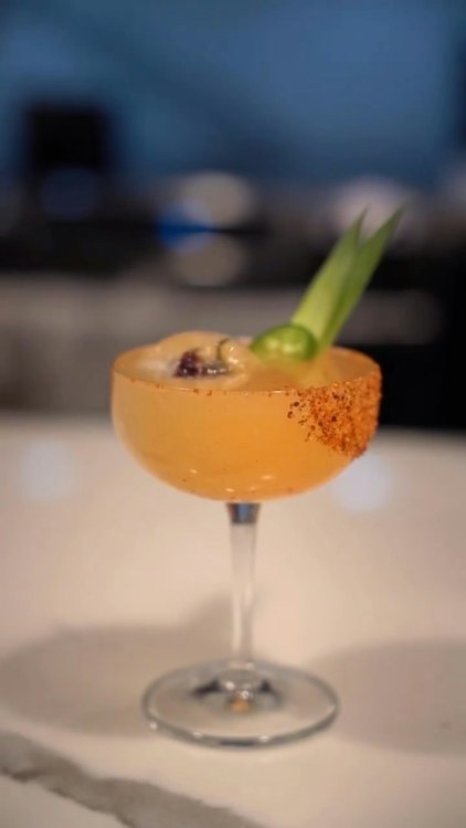 Open Bar and Craft Cocktails Premium Package