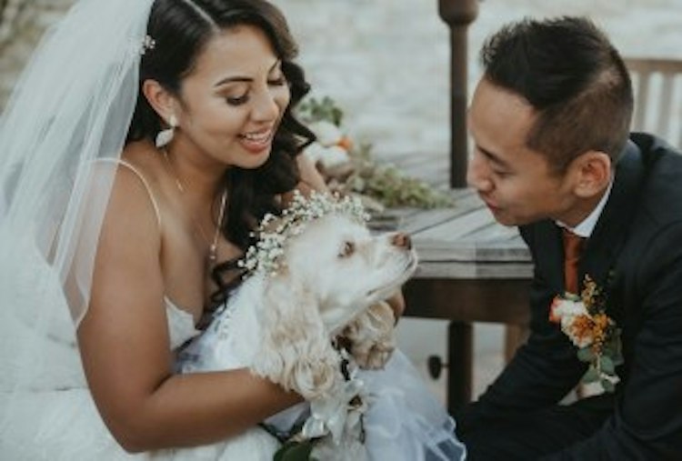 Ultimate Photography - 8 hour package