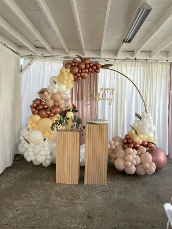 Balloon Backdrop