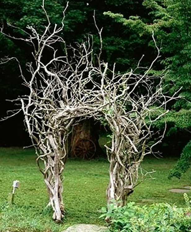 TheWIldChild Arch