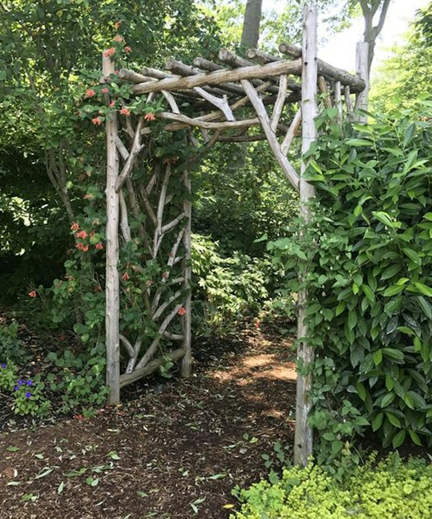 Branch Arbor 4ftx6ftx2ft