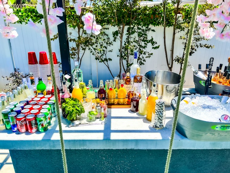 Bartender / Mixology package