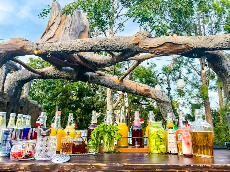 Bartender / Mixology package