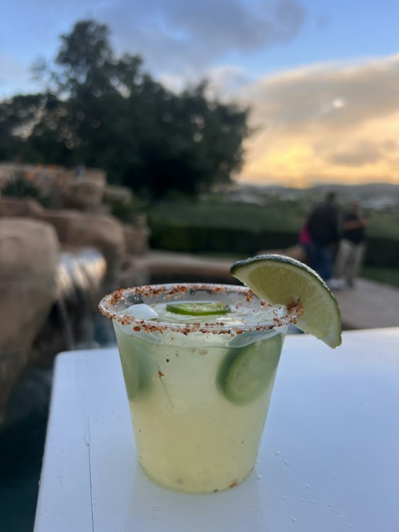 Bartenders - Above 50 Guests