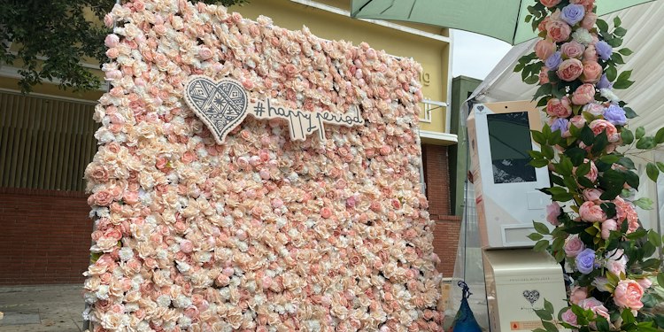 Flower Wall - Peaches