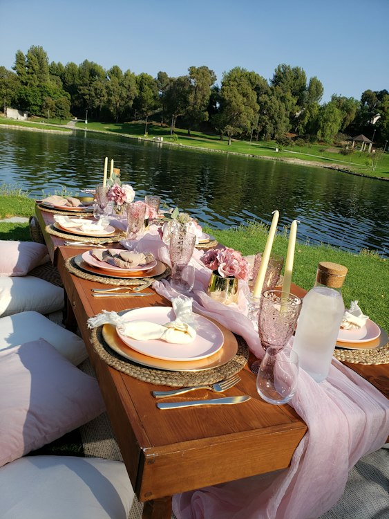 Picnic Setup