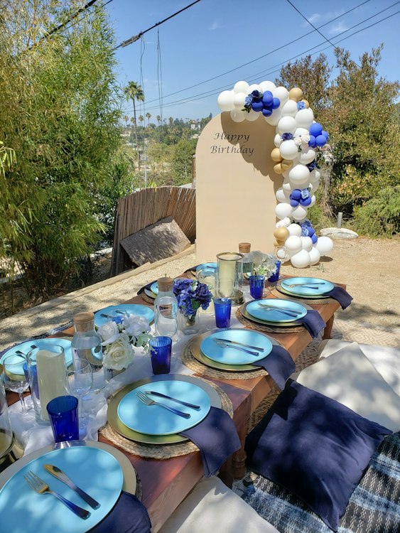 Blue Picnic Setup