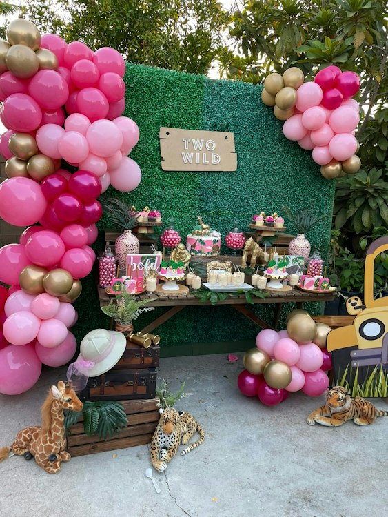 Safari Birthday Balloon Backdrop