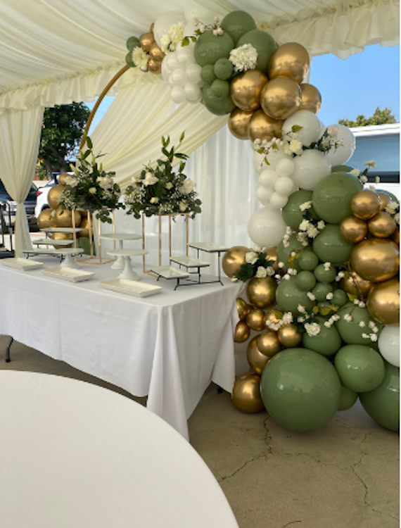 Hoop Backdrop with Balloons