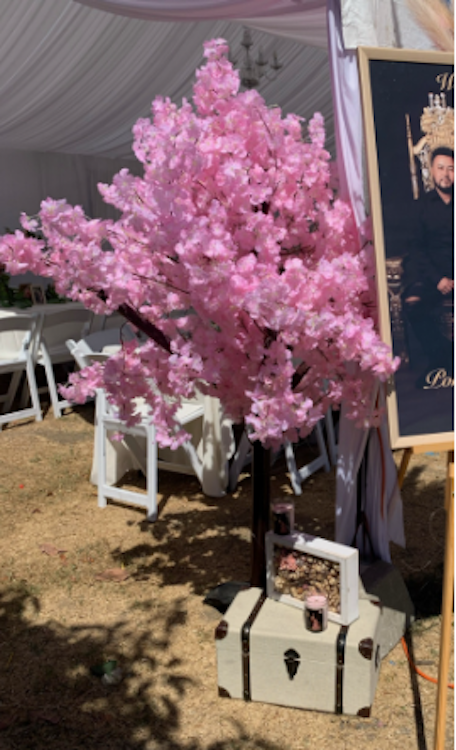 Pink Tree '6