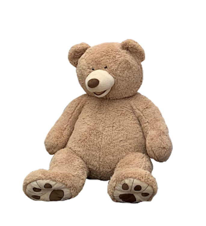 Giant Teddy
