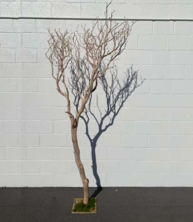 Large Tree 7.5'