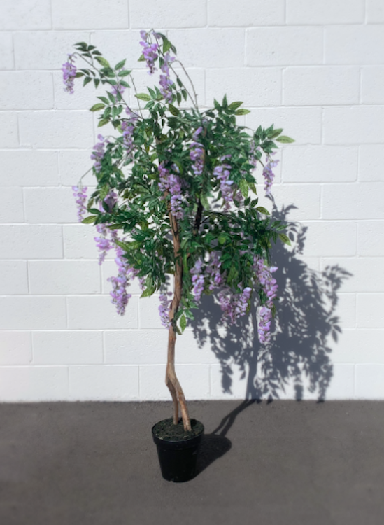 Purple Tree 6'