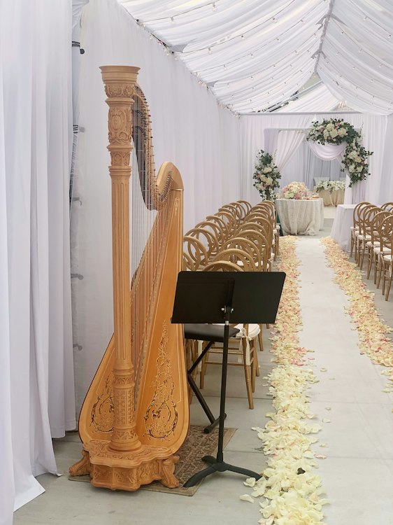 Harpist - Ceremony & Cocktail