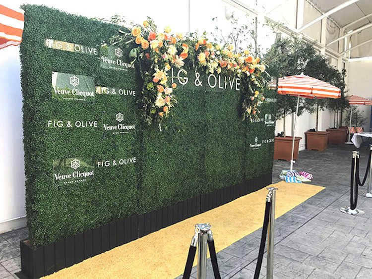 Hedge Backdrop Standard Package