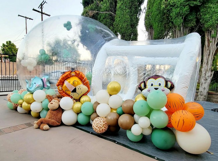 Bubble House