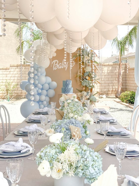 Backdrop & cake display