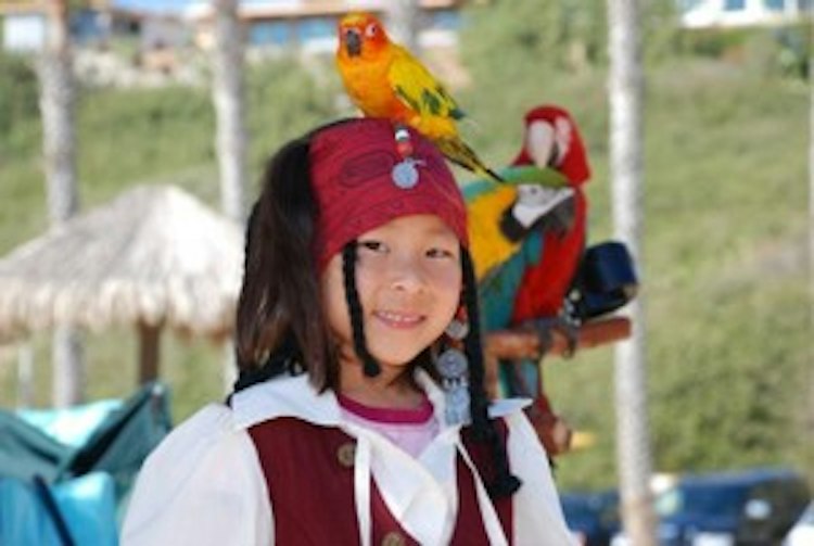 Parrot Handler