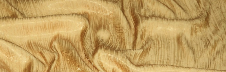 50' Organza Gold Fabric