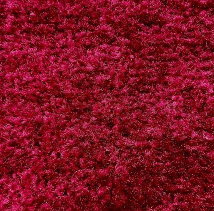 4'x8' stage with Red Carpet and Step