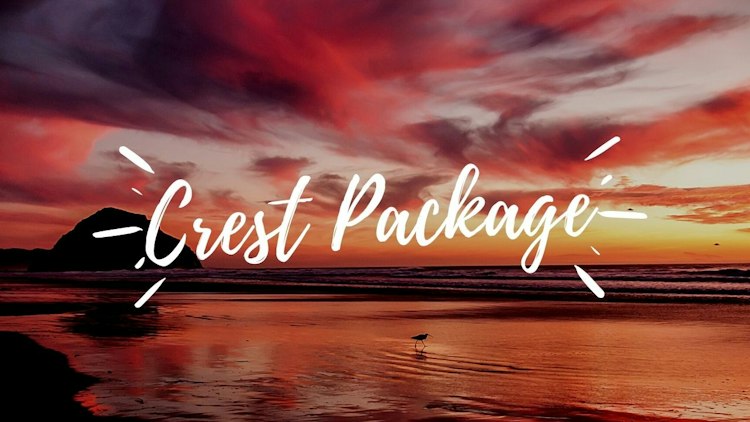 Silent Disco - Crest Package