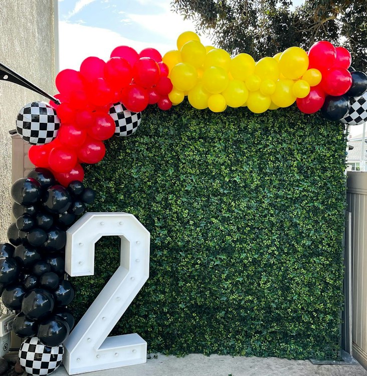 Garden Wall with 12ft of Balloons