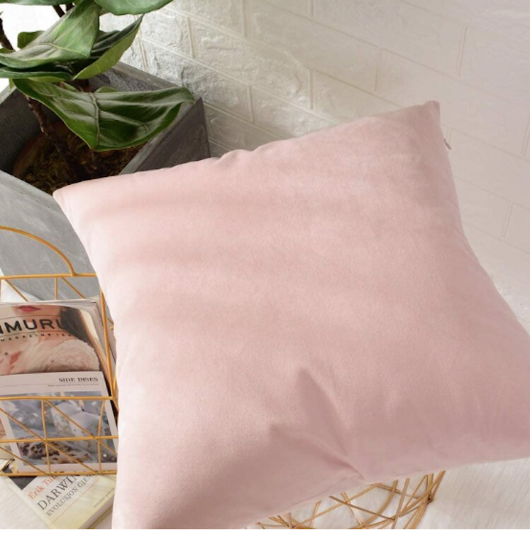 Pink Velvet pillow