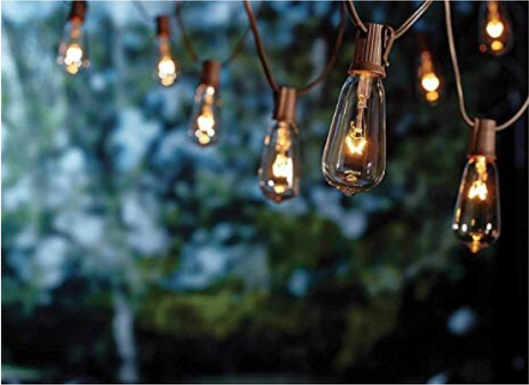 20 ft String Lights