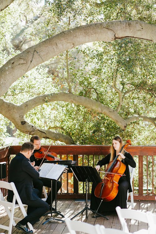 String Trio