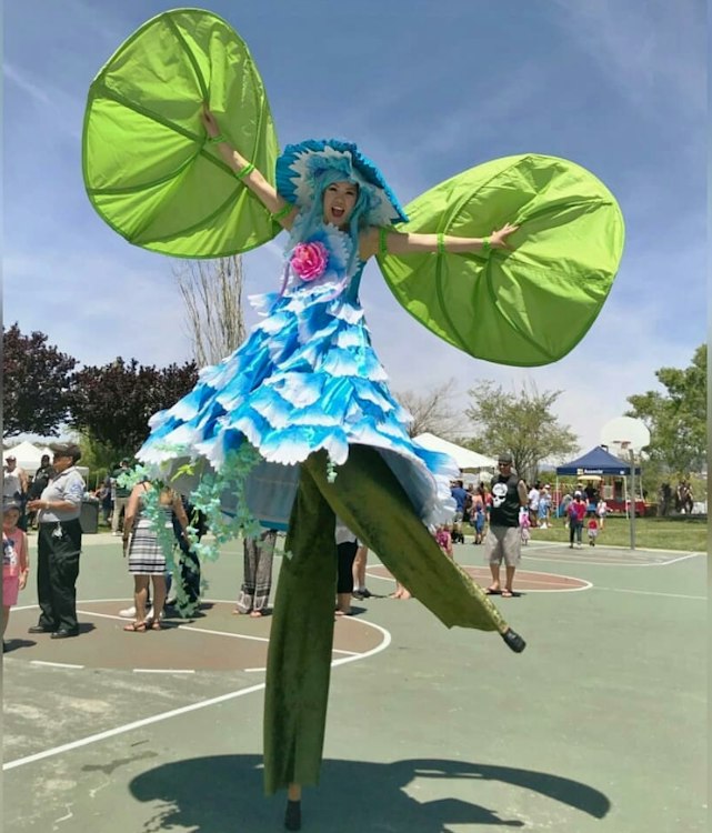 Circus acrobat package (Several Options)