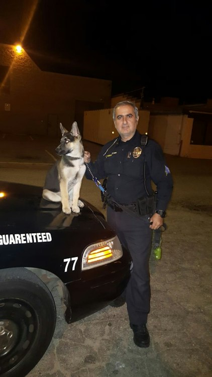 Unarmed Guard