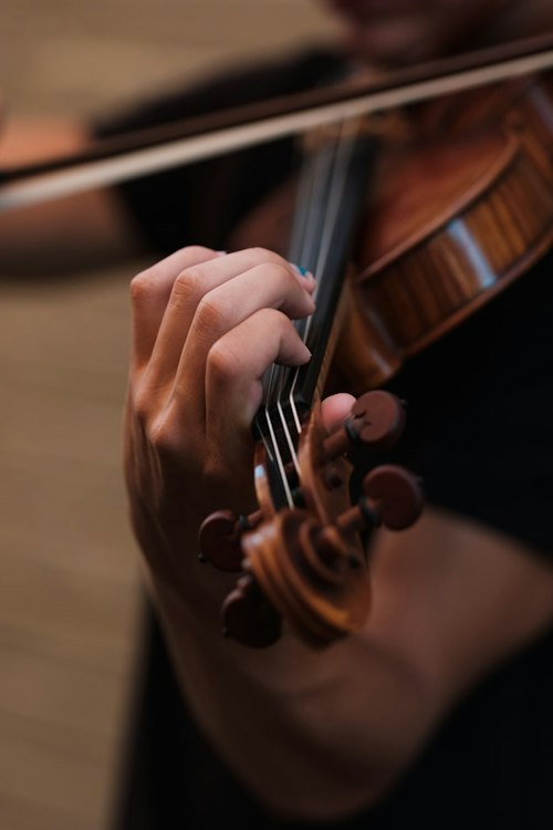 Violinist