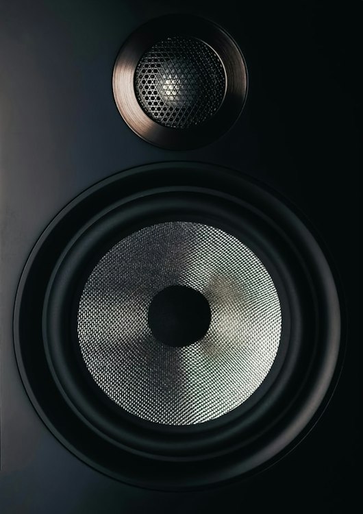 Bose F1 speakers