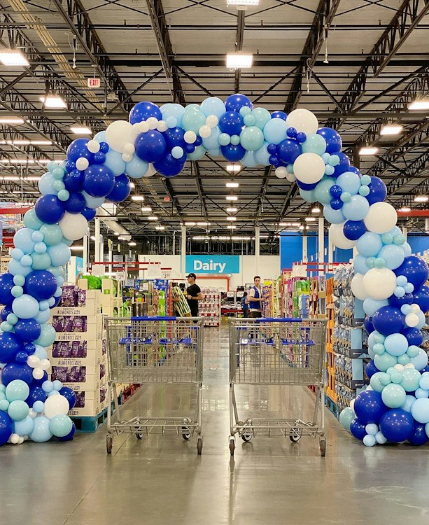 Organic Balloon Arch - ENTRANCE