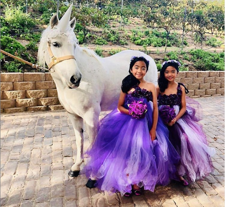 Pony/Unicorn Rides - 4 hours