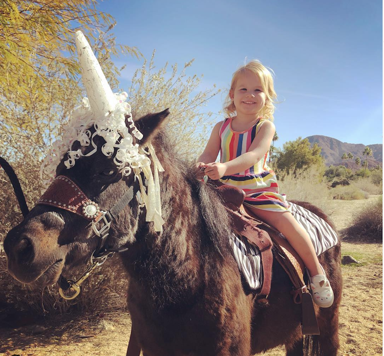 Pony / Unicorn Rides - 2 Hours