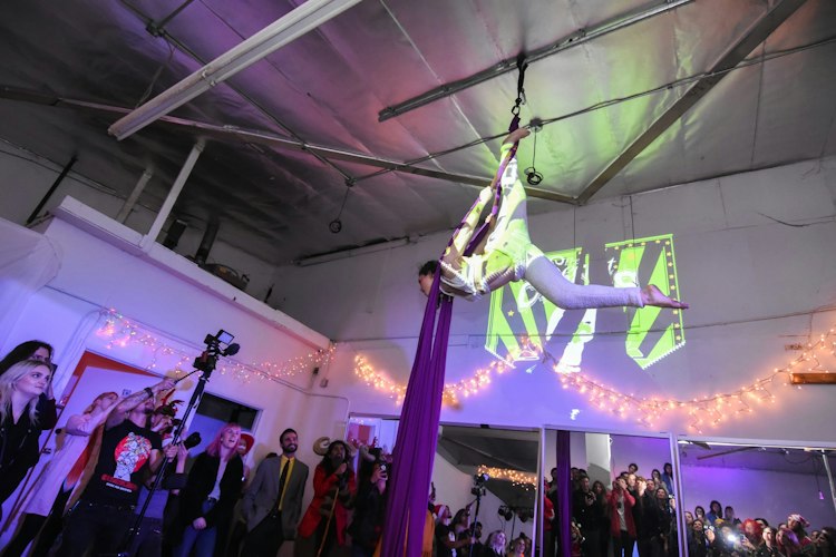 Aerialist