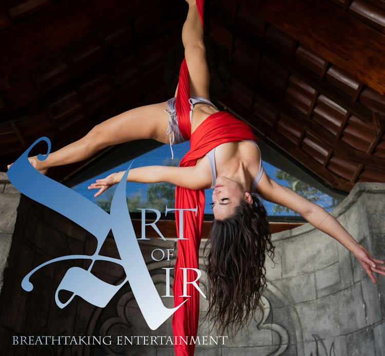 Art of Air Entertainment and Events