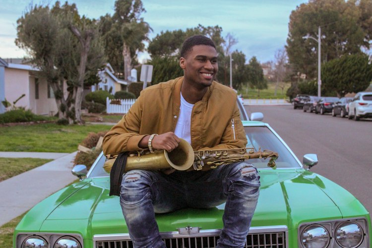 Professional Musician