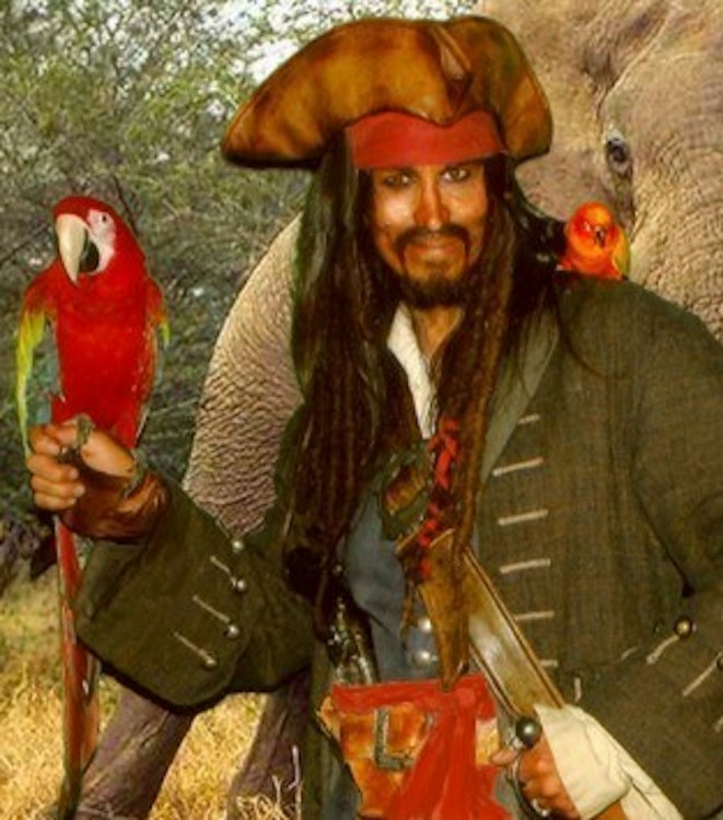 Parrot Entertainment & Pirate Rentals