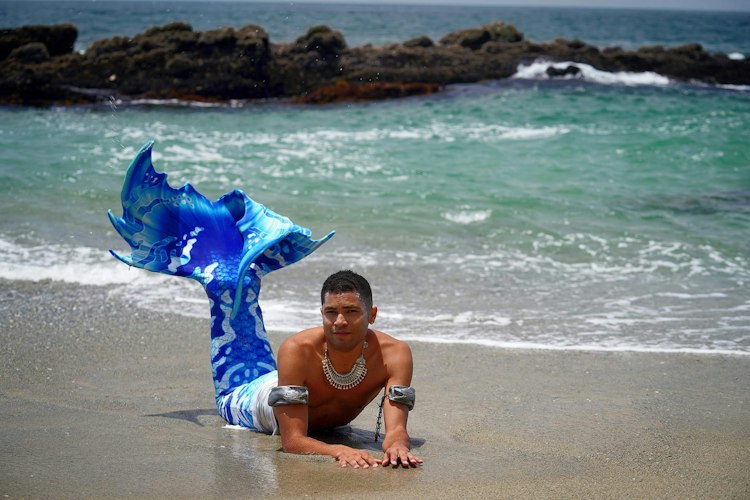 Merman Calamario Merformer